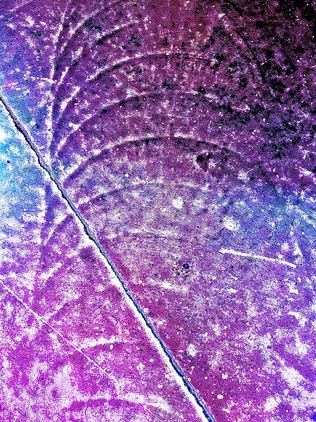 IMG 3778 Print