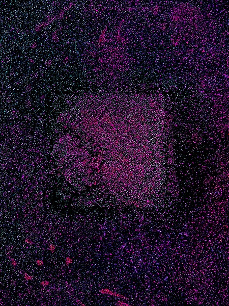 IMG 3740 Print