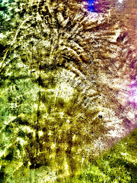 IMG 3776 Print