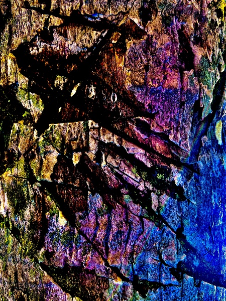 IMG 3657 Print