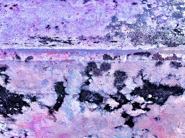 IMG 0240 Print