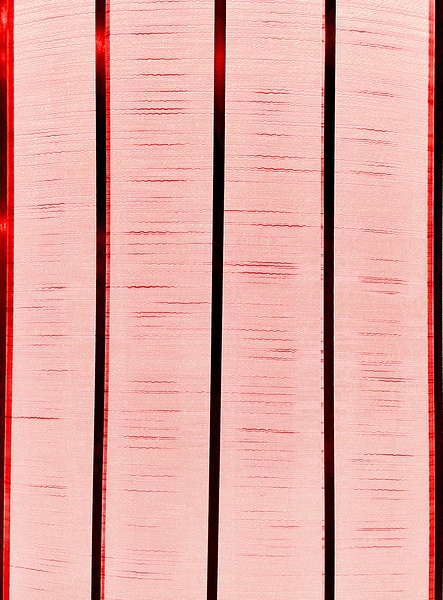 IMG 3897 Print