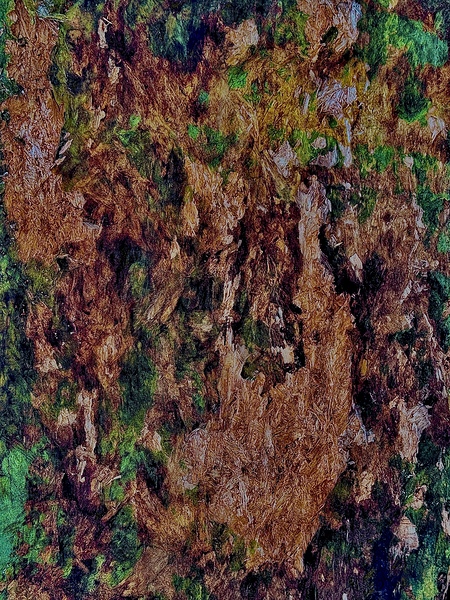 IMG 0576 Print
