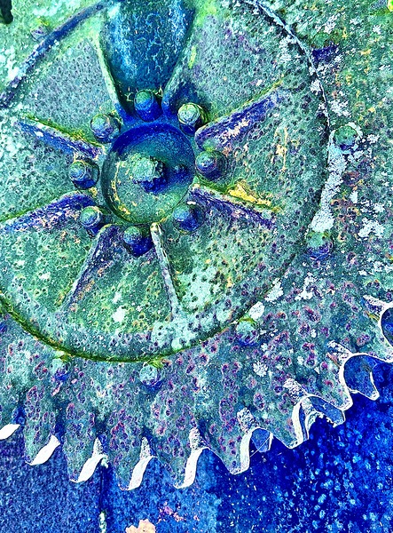 IMG 0352 Print