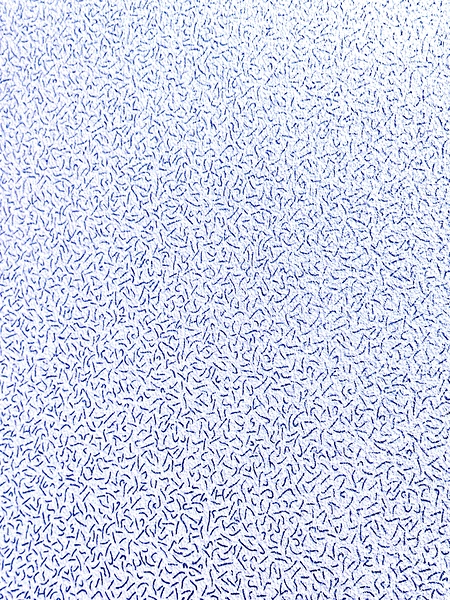 IMG 1114 Print