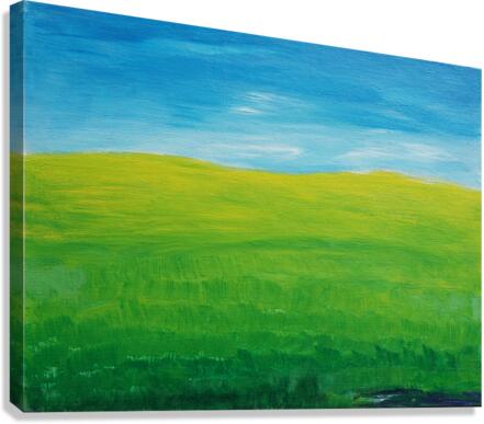 Meadow  Canvas Print