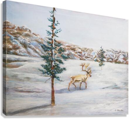 Caribou  Canvas Print