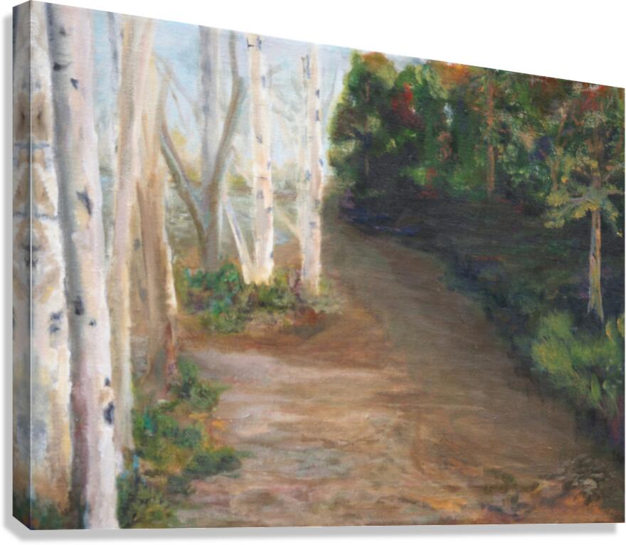 The Woods Canvas Print