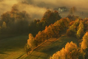 Autumn