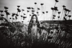 Where The Wild Roses Grow