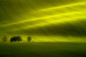 Sunlight