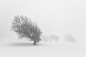 alone