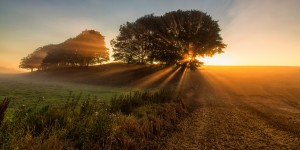 Sunbeams