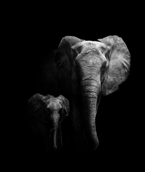 Mother and Child