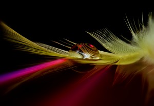 Colors in the drop