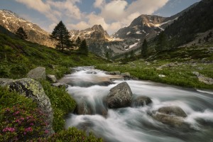 Maritime Alps Park