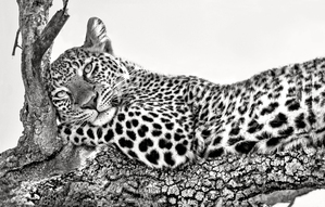 Time to rest