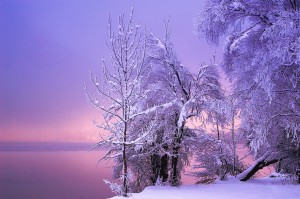 Stillness