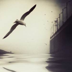 the tide
