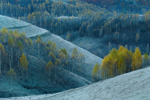 Between fall and winter by 1x