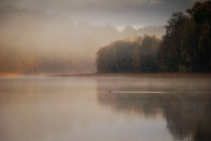 The morning's first swim turn