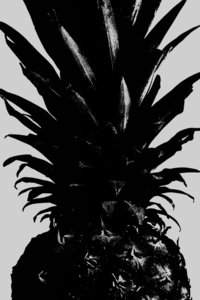 Pineapple bw by 1x