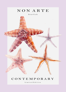 Non Arte Starfish