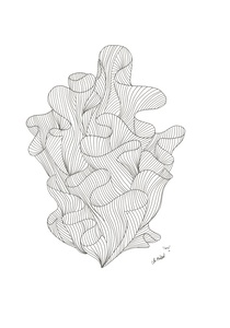 Coral Jpeg