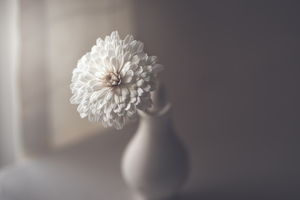 window light