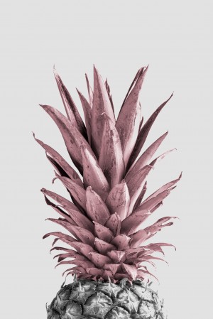 Pineapple Pink 04
