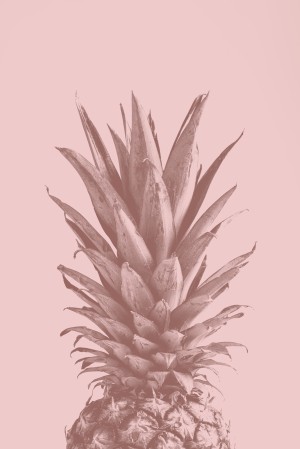 Pinapple Pink 05