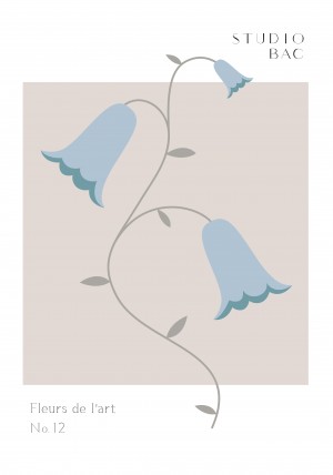 Bluebells Studio Bac