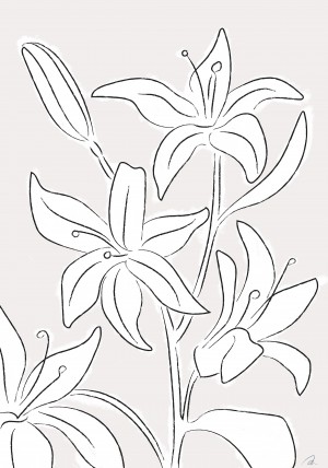 Lillies No 03