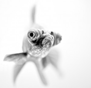 I&039;m ready for my close up...