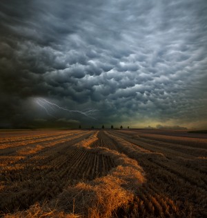Mammatus