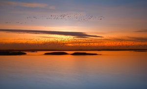 by sunset by Piotr Krol (Bax)