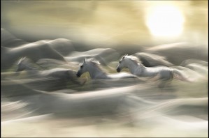 morning dream