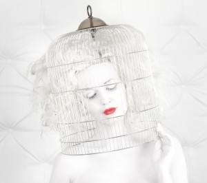 birdcage love