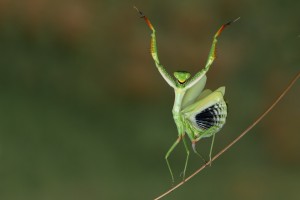 Are you gonna dance with me 
