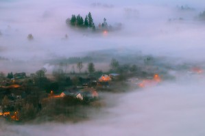In the Morning Fog by Piotr Krol (Bax)