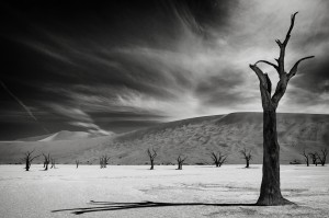 The Army of the Dead by So Sad Mathilde