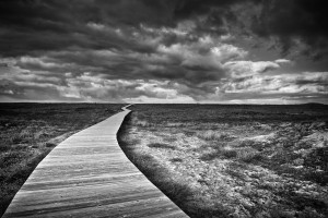 The Way