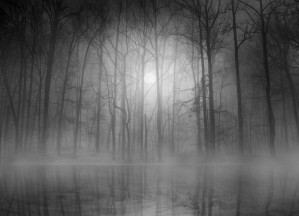 Morning Mist