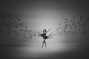 Ballerina flight of Birds