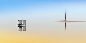 Two Chairs and a Tree by Juan Luis Duran