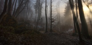 Winter's slight Return
