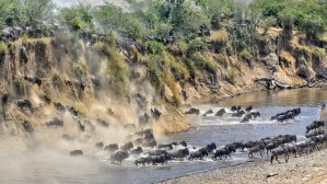 Great Migration