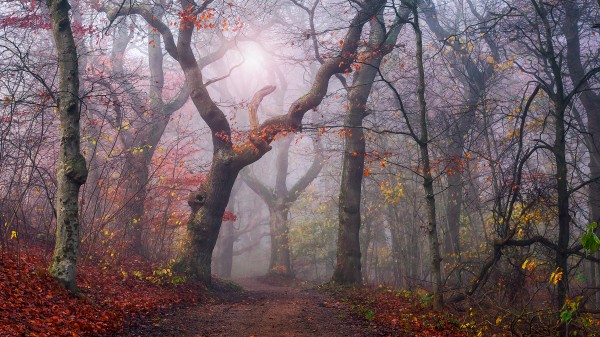 Walking the old path.  Print