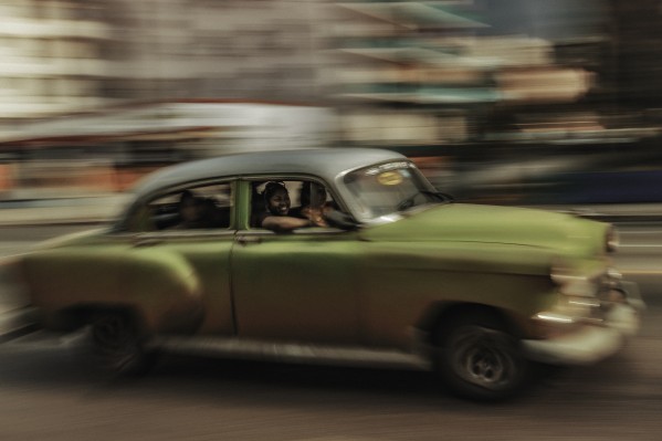 Panning Havana Print