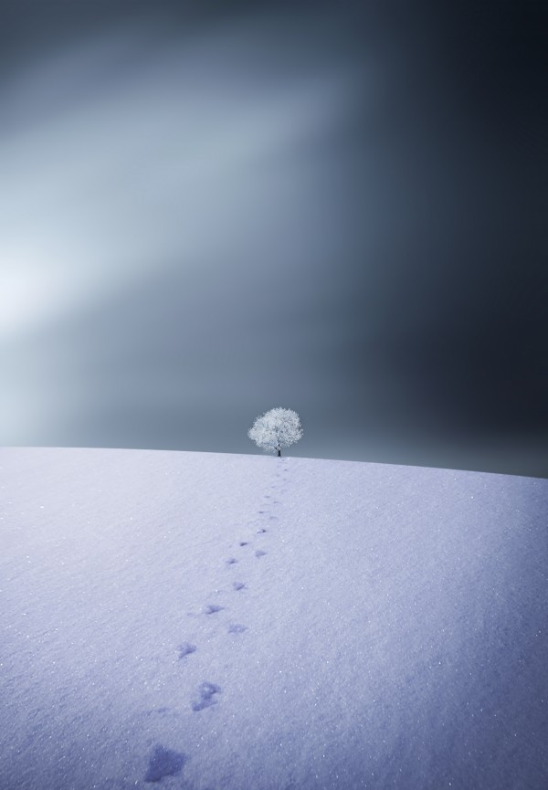 Winter  Print